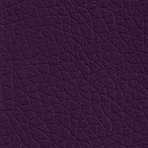 Mg06 purple